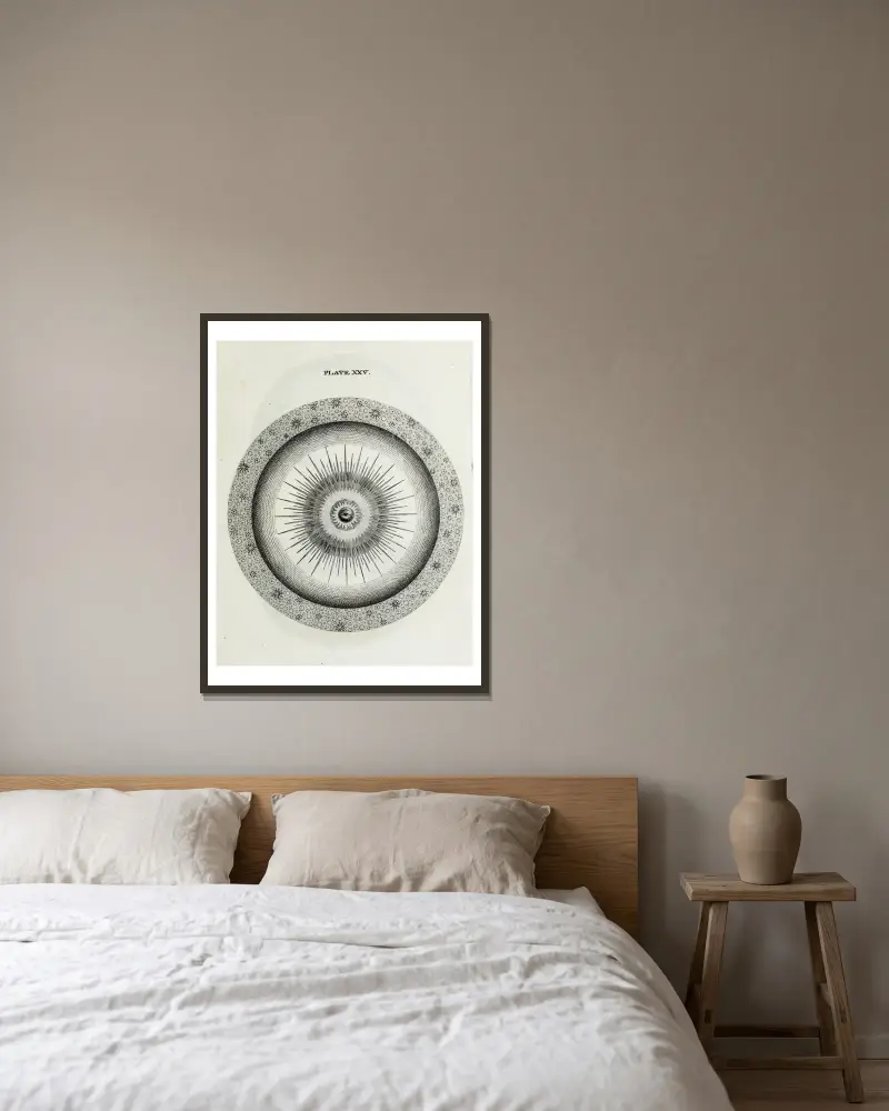 An original theory or new hypothesis of the universe, Plate XXV av Thomas Wright inramad på en vägg