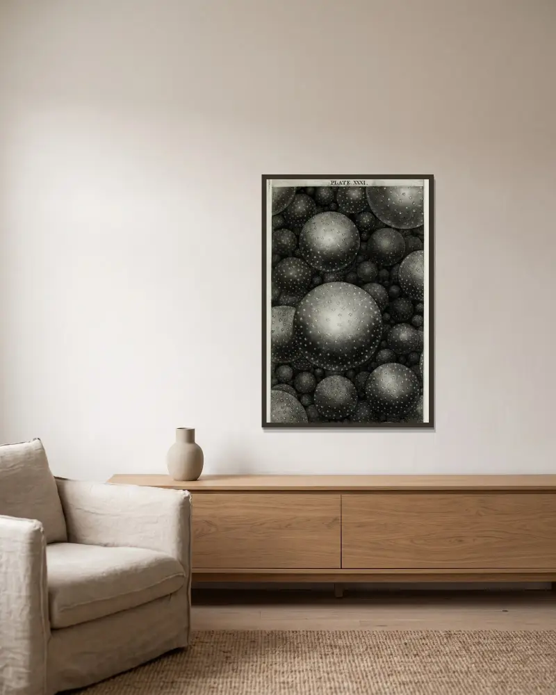 An original theory or new hypothesis of the universe, Plate XXXI av Thomas Wright inramad på en vägg