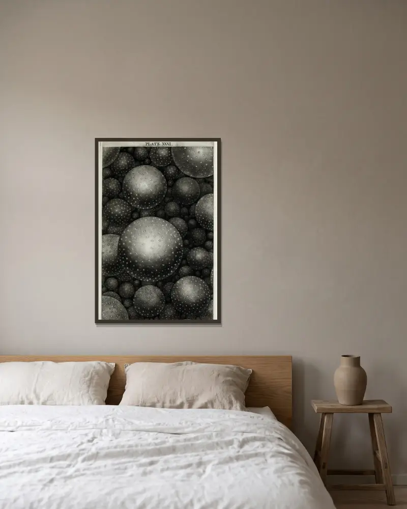 An original theory or new hypothesis of the universe, Plate XXXI av Thomas Wright inramad på en vägg