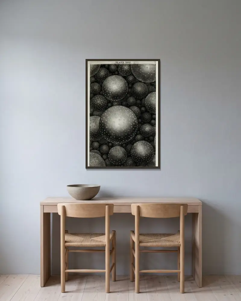 An original theory or new hypothesis of the universe, Plate XXXI av Thomas Wright inramad på en vägg