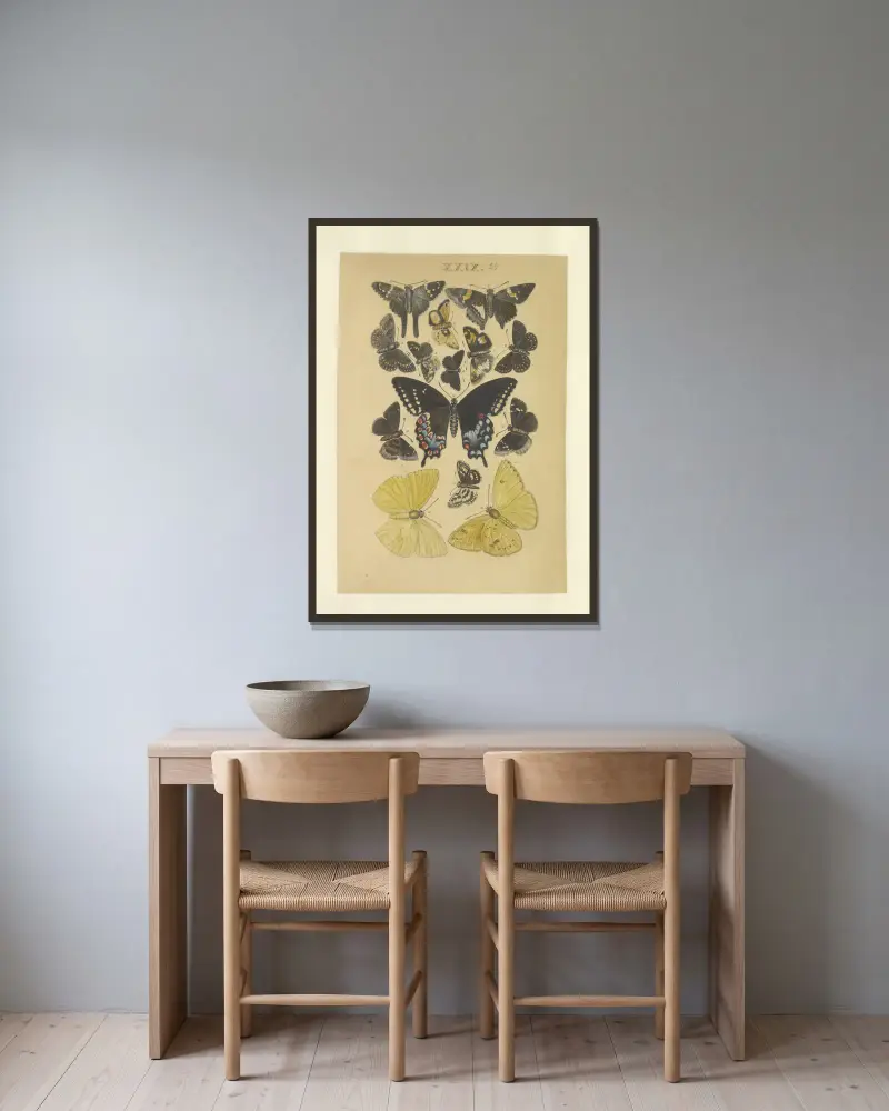 Lepidoptera Taf. 029 von Townend Glover gerahmt an einer Wand