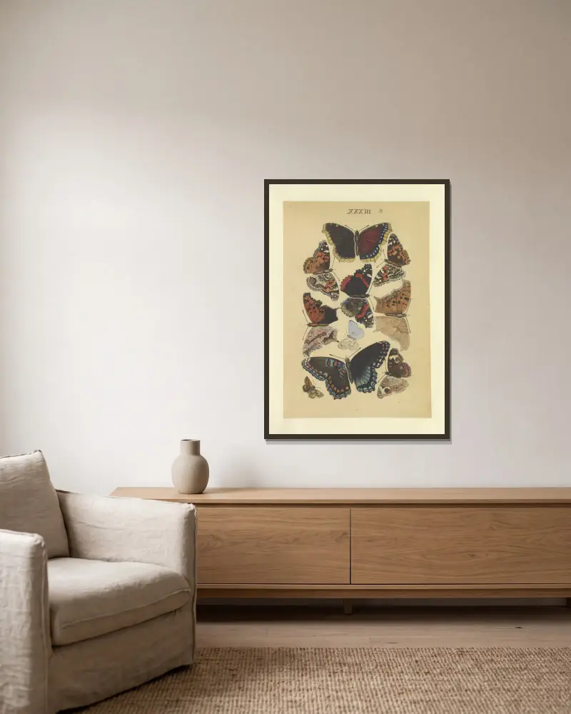 Lepidoptera Taf. 033 von Townend Glover gerahmt an einer Wand