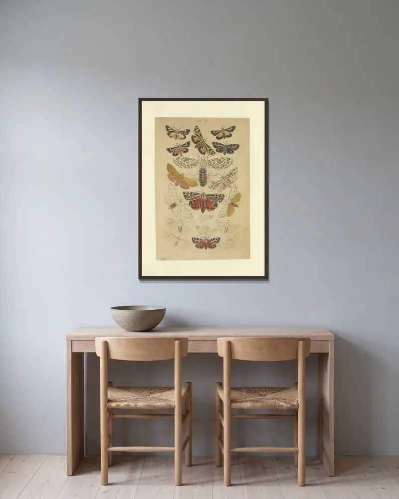Lepidoptera Pl.054, Townend Glover v rámu na stěně