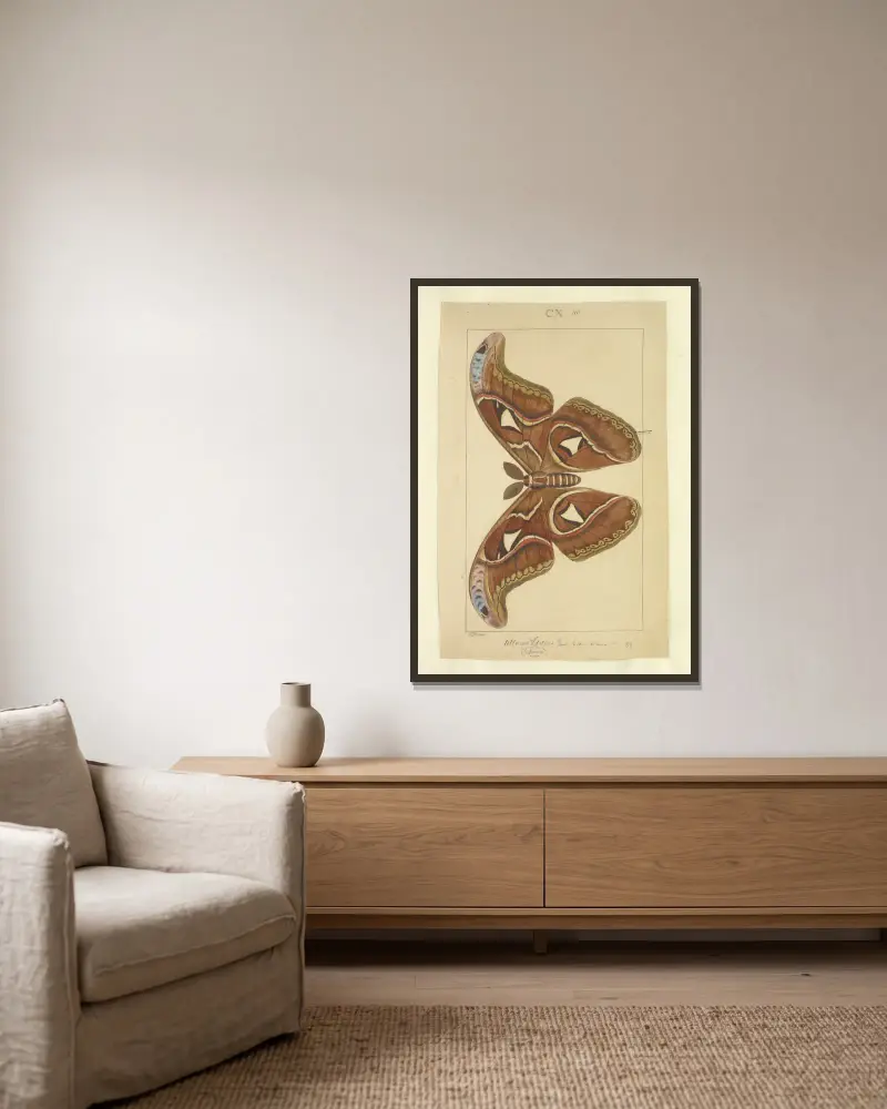 Lepidoptera Taf. 110 von Townend Glover gerahmt an einer Wand