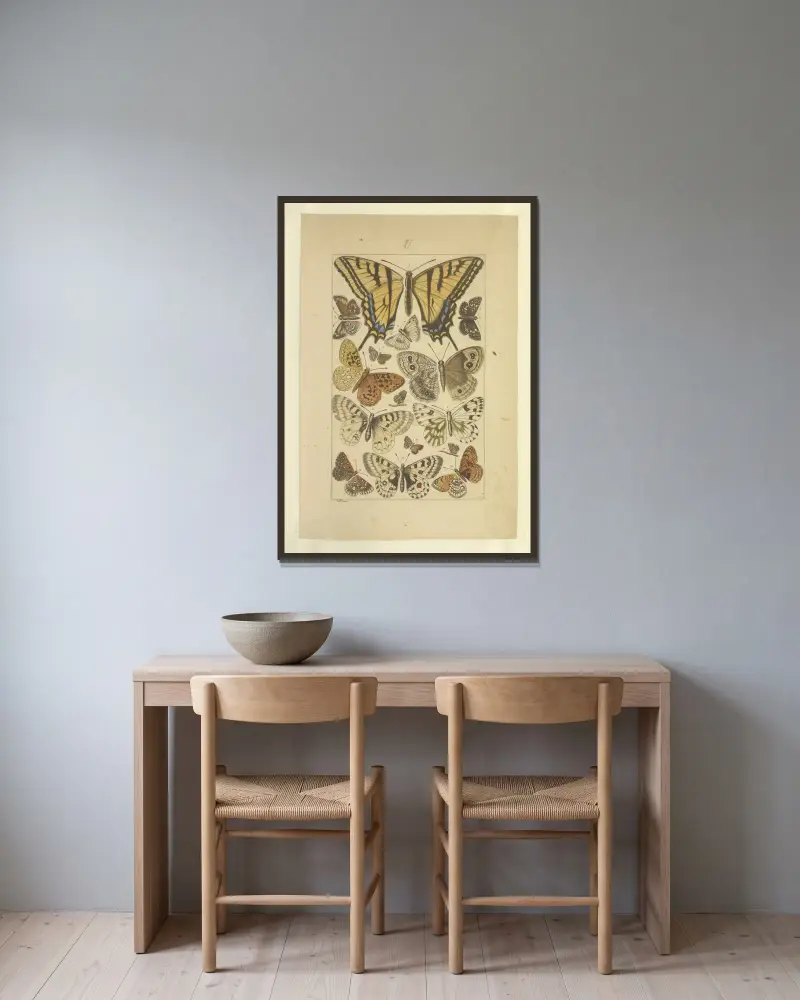 Schmetterlinge Taf. 137 von Townend Glover gerahmt an einer Wand