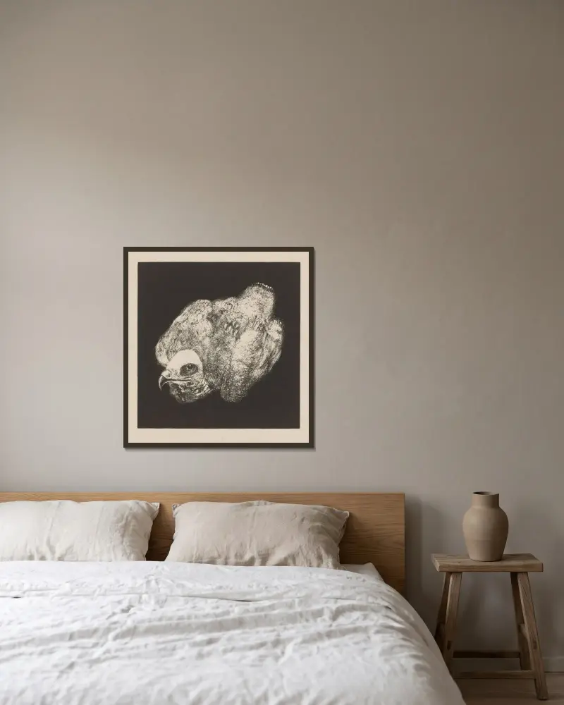 Wiesenweihe von Theo van Hoytema gerahmt an einer Wand