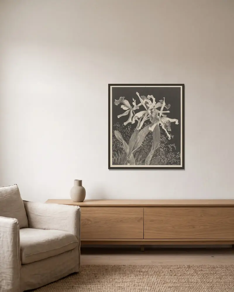 Orchids av Theo van Hoytema inramad på en vägg