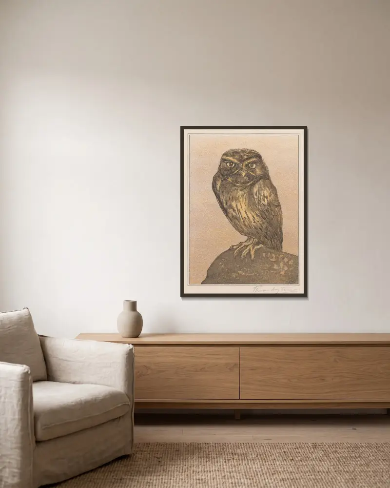 Steinkauz auf Felsen von Theo van Hoytema gerahmt an einer Wand