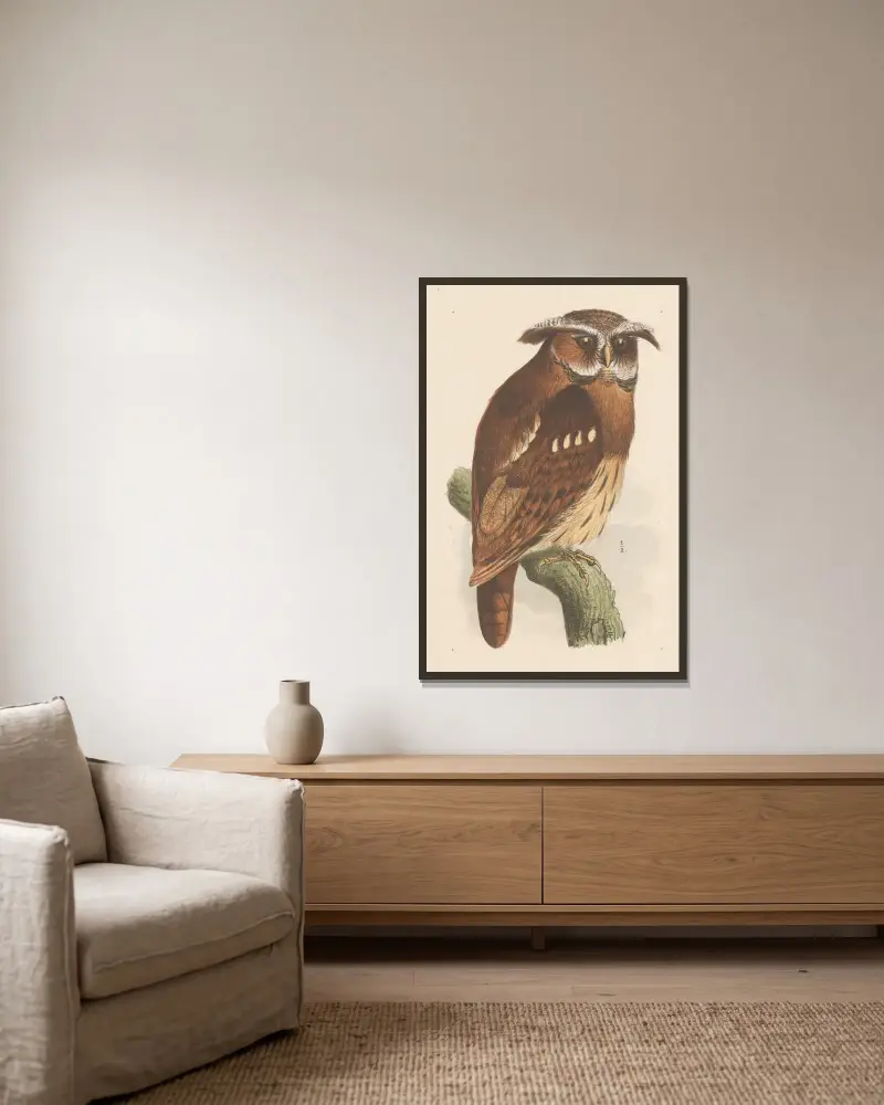 Eule auf einem Zweig (bubo lettii) von Theo van Hoytema gerahmt an einer Wand