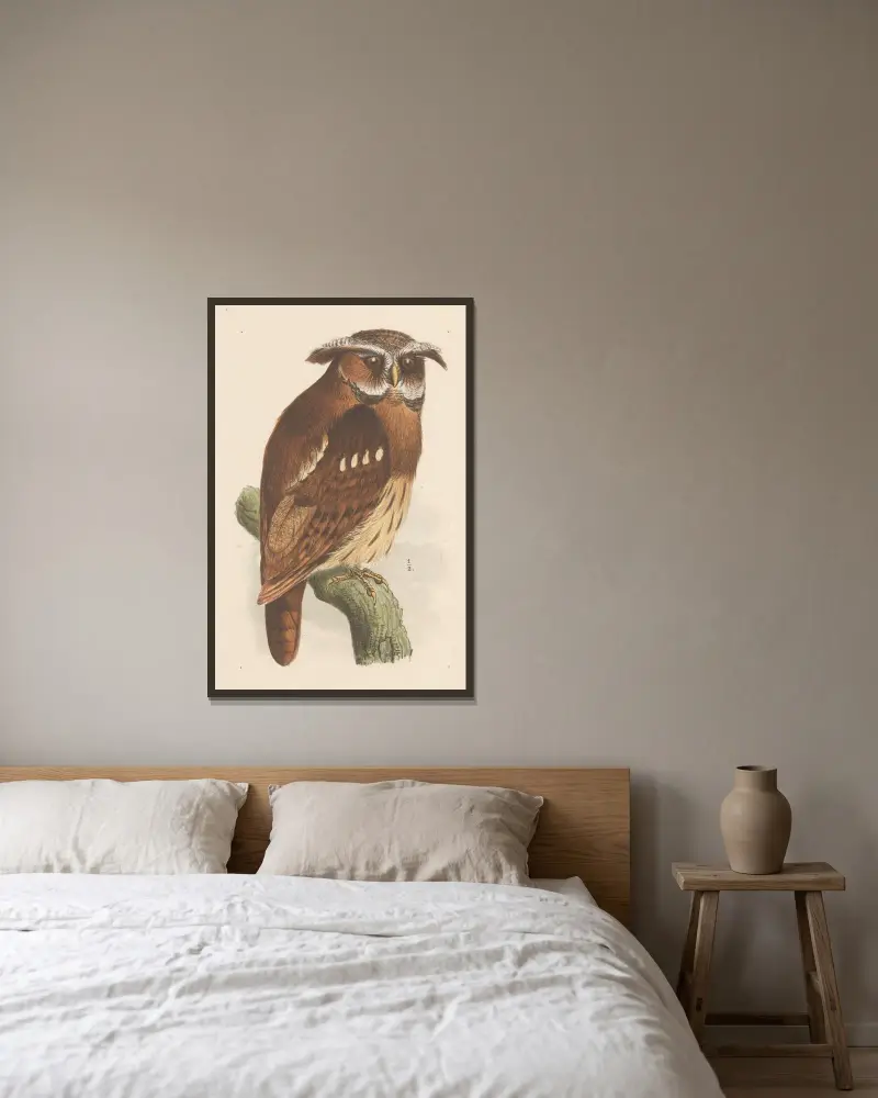 Eule auf einem Zweig (bubo lettii) von Theo van Hoytema gerahmt an einer Wand