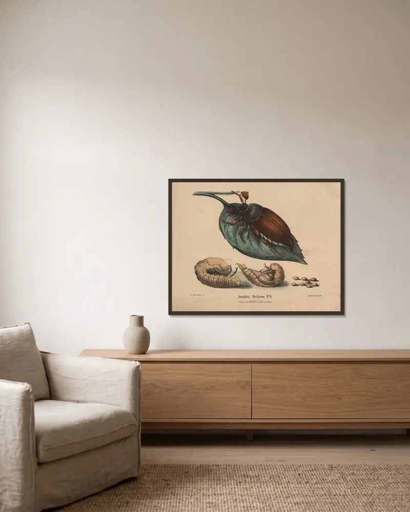 Insekten. Meikever No. 9 av Hendrik Jan van Lummel inramad på en vägg
