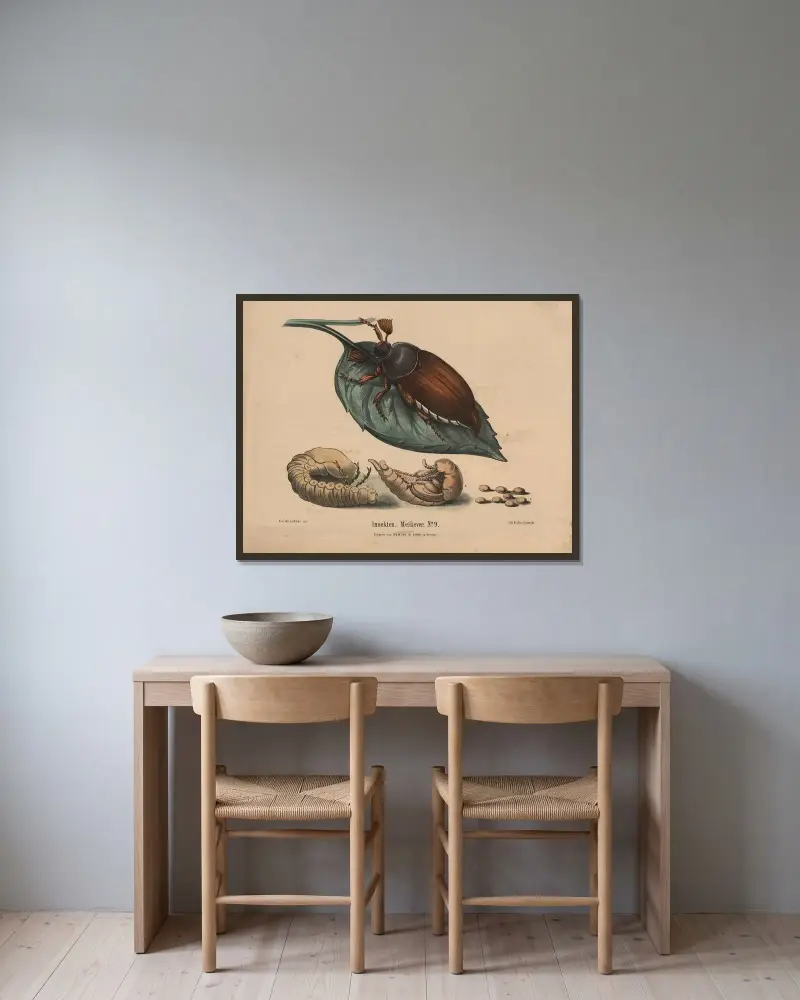 Insekten. Meikever No. 9 av Hendrik Jan van Lummel inramad på en vägg
