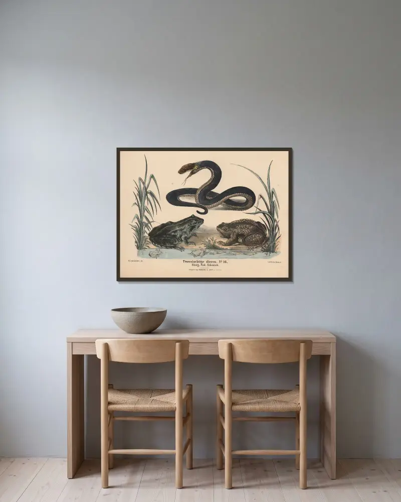 Schlange, Kröte, Frosch von Hendrik Jan van Lummel gerahmt an einer Wand