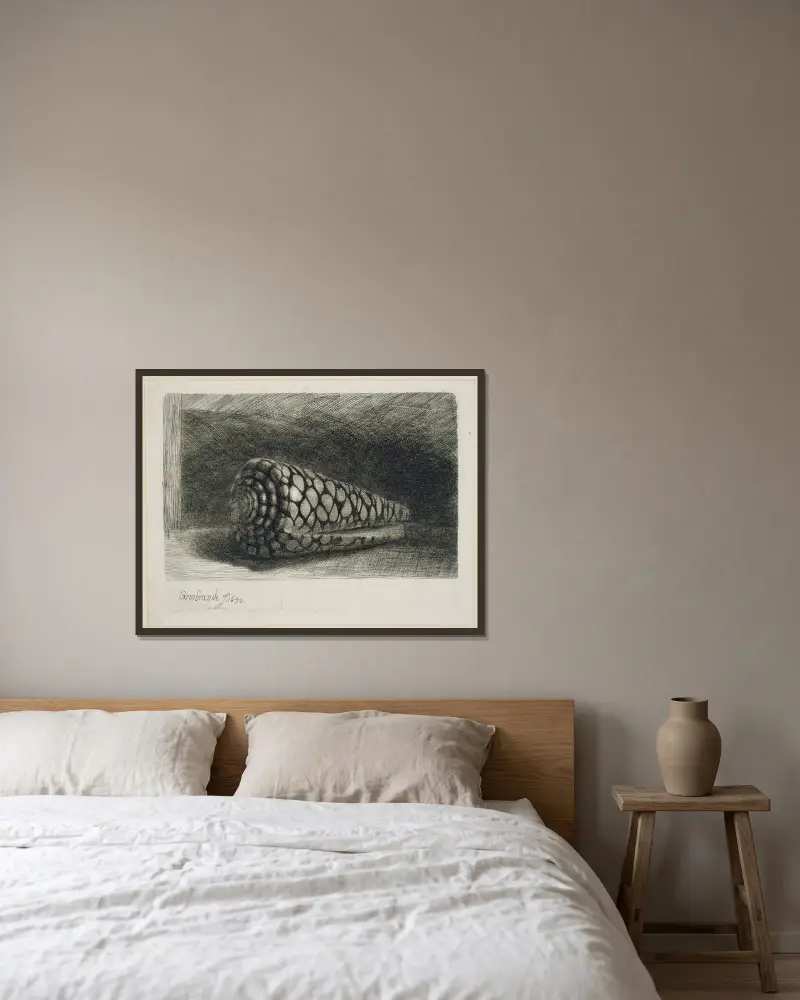 Mušle, Rembrandt van Rijn v rámu na stěně