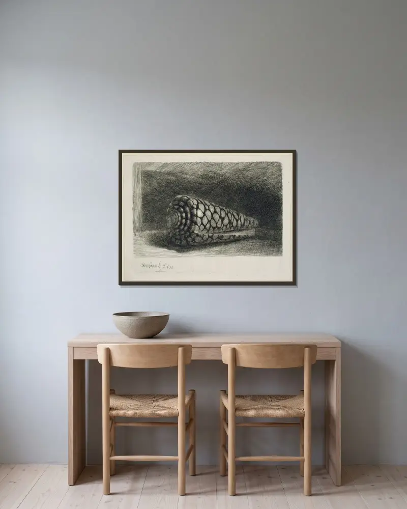 Mušle, Rembrandt van Rijn v rámu na stěně