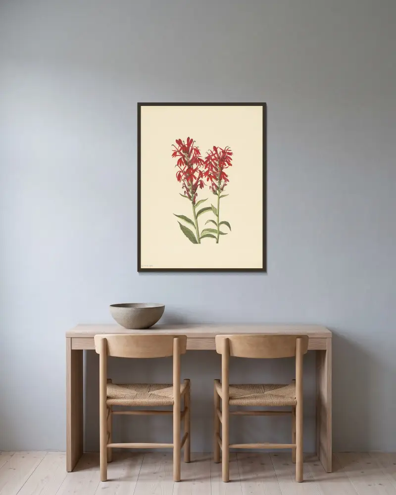 Kardynalski kwiat (Lobelia cardinalis), Mary Vaux Walcott w ramie na ścianie