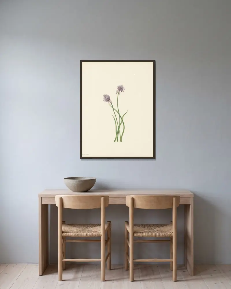 Sibirischer Lauch (Allium sibericum) von Mary Vaux Walcott gerahmt an einer Wand