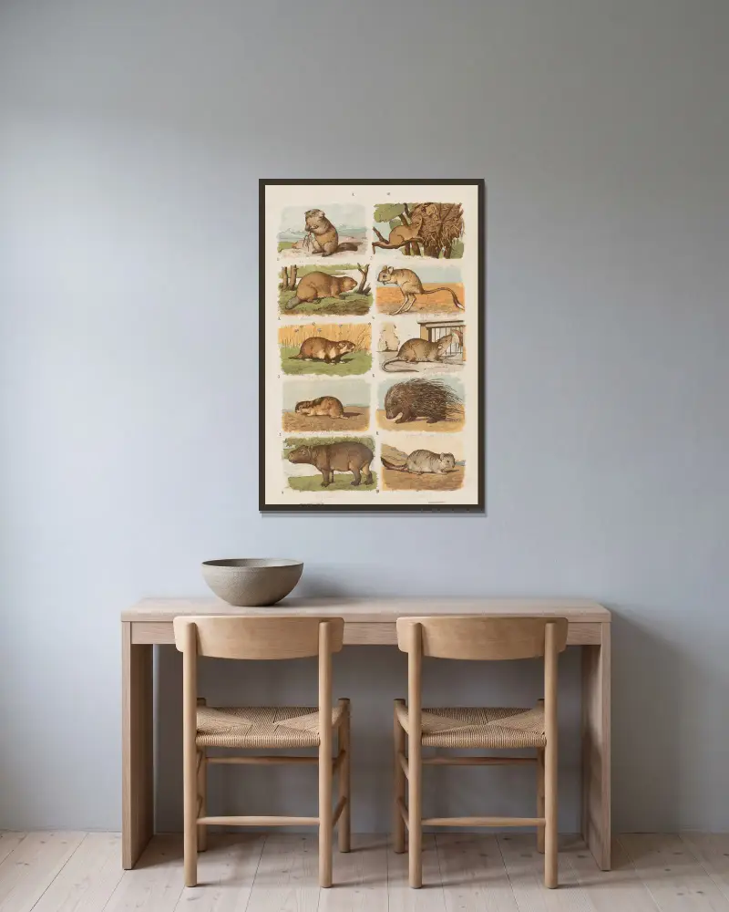Großer Atlas der Zoologie, Botanik und Mineralogie, Tafel 003 von Gustav von Hayek gerahmt an einer Wand