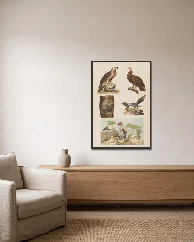 Großer Atlas der Zoologie, Botanik und Mineralogie, Tafel 29 von Gustav von Hayek gerahmt an einer Wand