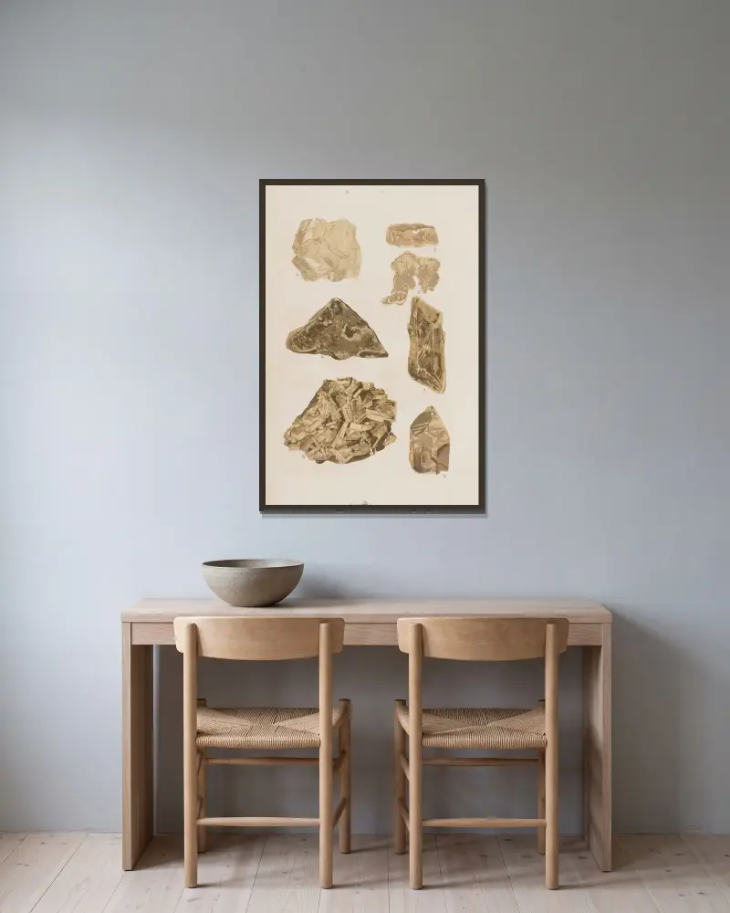 Wielki atlas do zoologii, botaniki i mineralogii Pl.114 av Gustav von Hayek inramad på en vägg