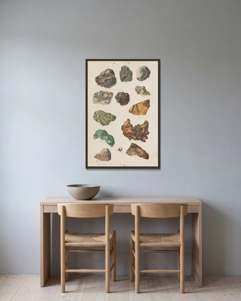 Wielki atlas do zoologii, botaniki i mineralogii Pl.120 av Gustav von Hayek inramad på en vägg
