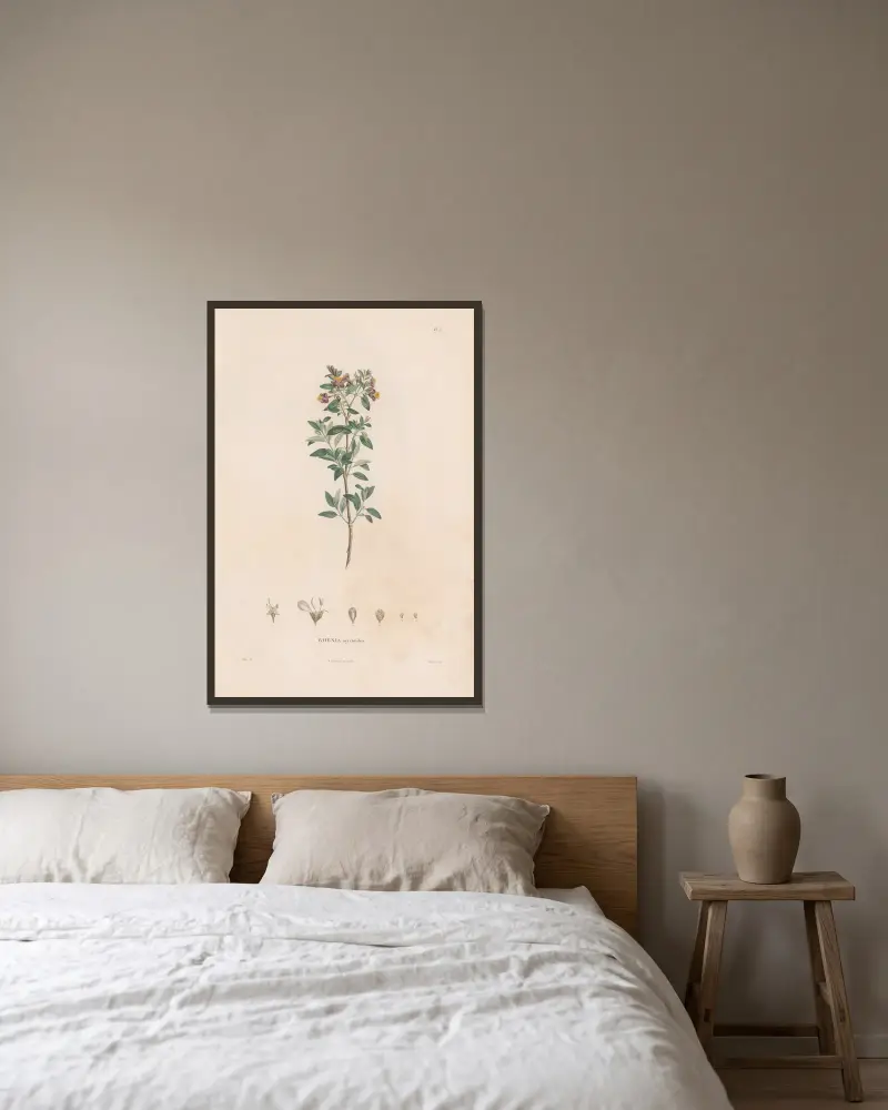 Botanique Pl.03 von Alexander von Humboldt gerahmt an einer Wand