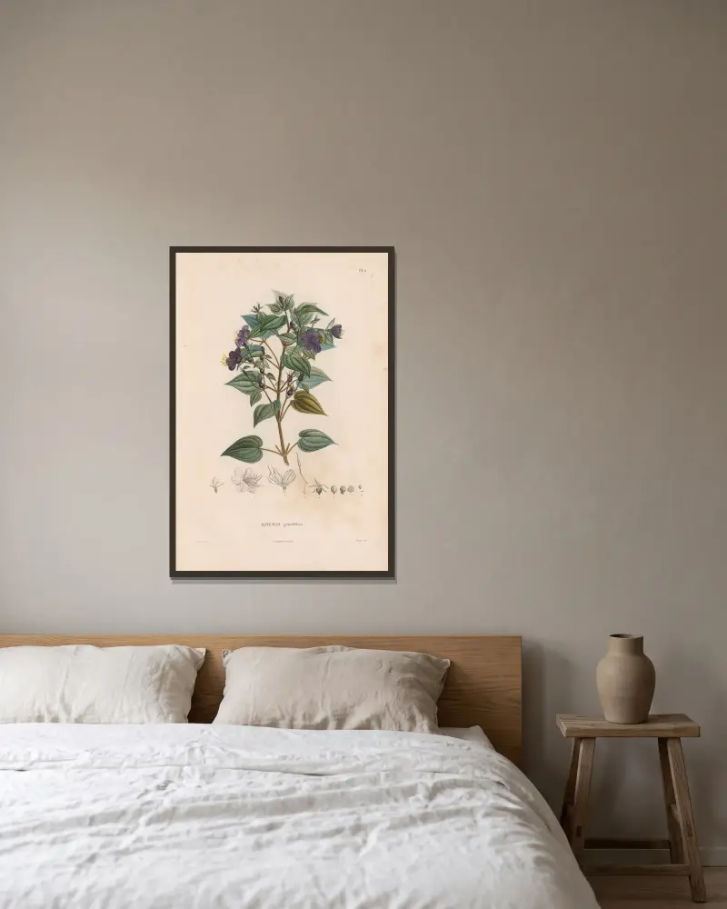 Botanik Taf. 10 von Alexander von Humboldt gerahmt an einer Wand
