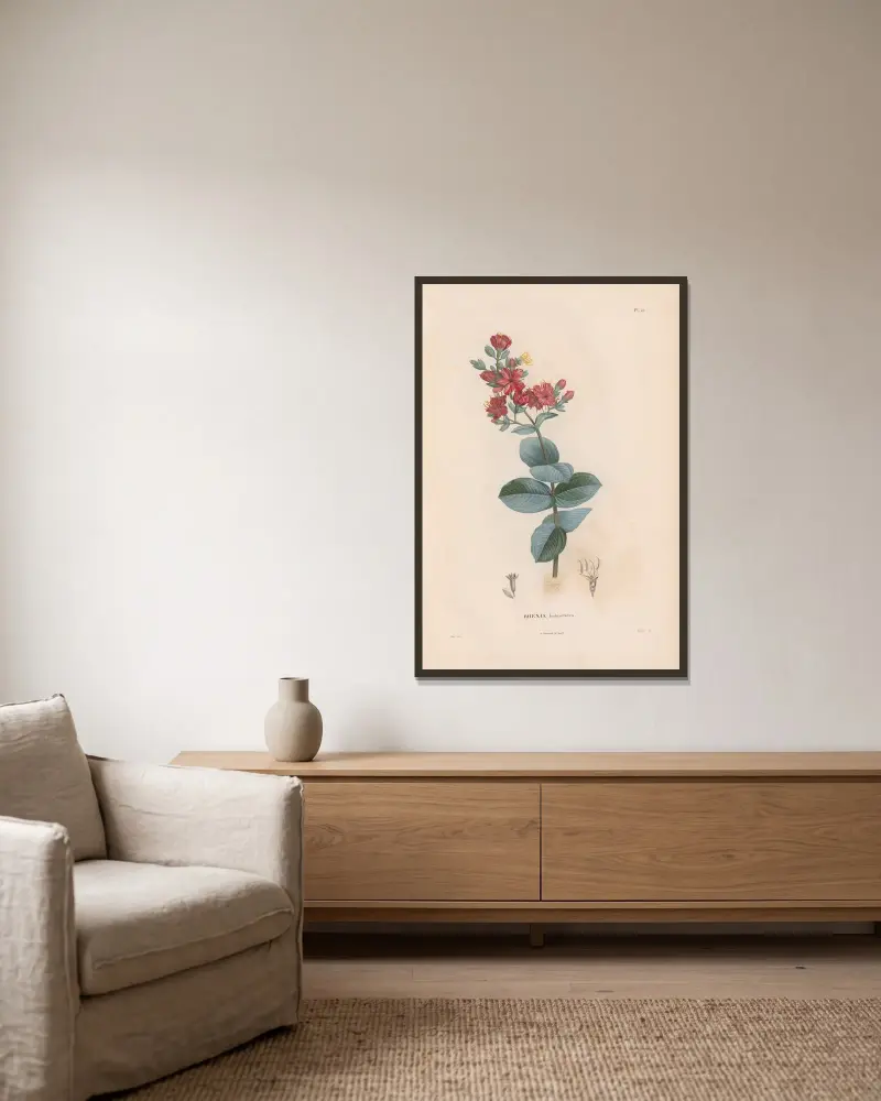 Botanik Taf. 11 von Alexander von Humboldt gerahmt an einer Wand
