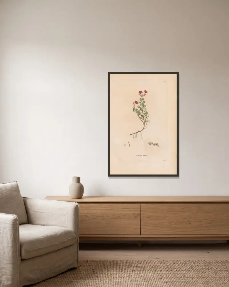 Botanique Pl.20 von Alexander von Humboldt gerahmt an einer Wand