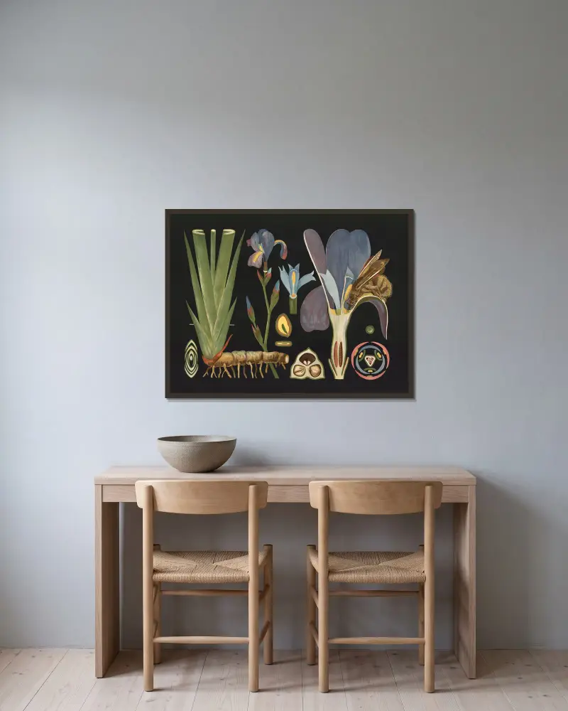 Iris (Iris germanica) von Gottlieb von Koch gerahmt an einer Wand