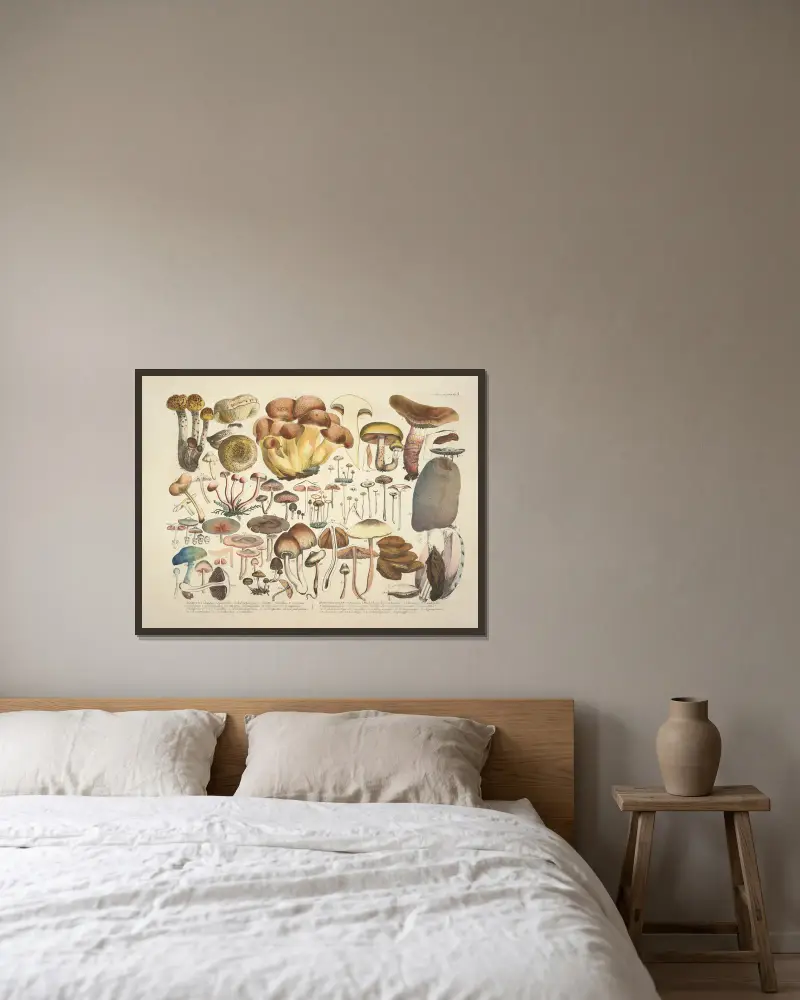 Naturgetreue Abblidungen und Beschreibungen der essbaren, schädlichen und verdächtigen Schwämme Pl.03 av Julius Vincenz von Krombholz inramad på en vägg