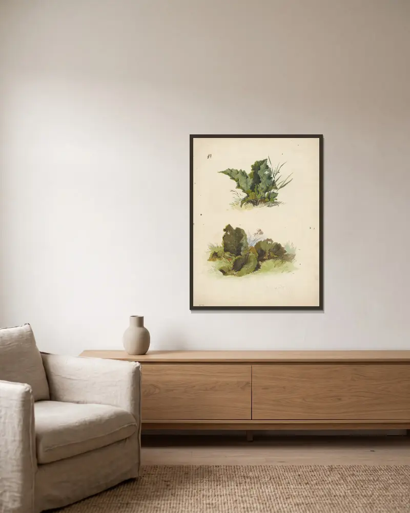 Study of Broadleaved Plants av Friedrich Carl von Scheidlin inramad på en vägg