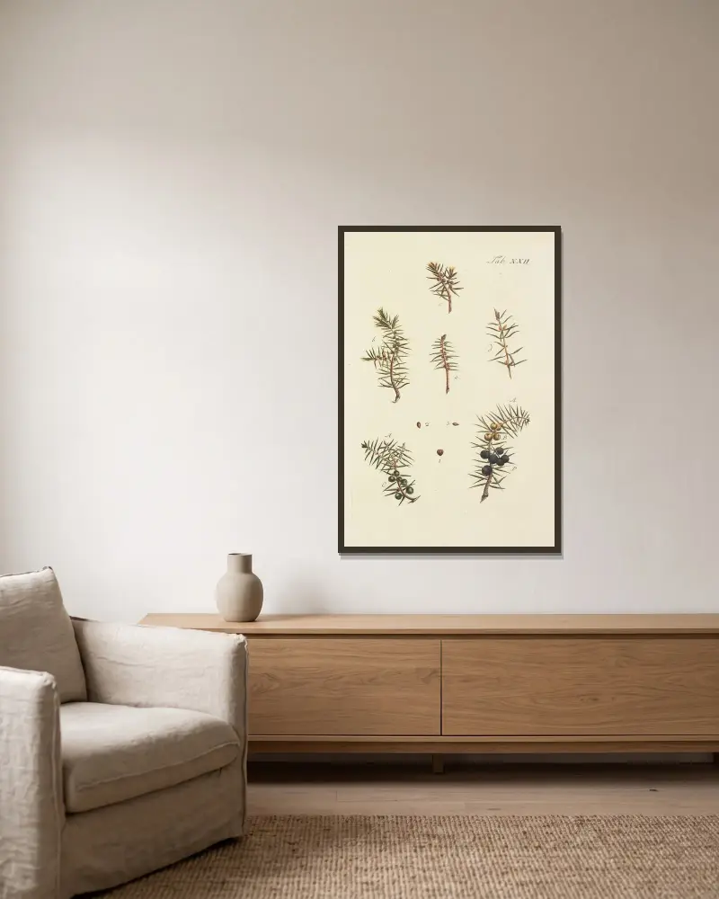 Avbildning av vilda träd, buskar och snårväxter, pl. 22 av Carl Christoph Oelhafen von Schöllenbach inramad på en vägg
