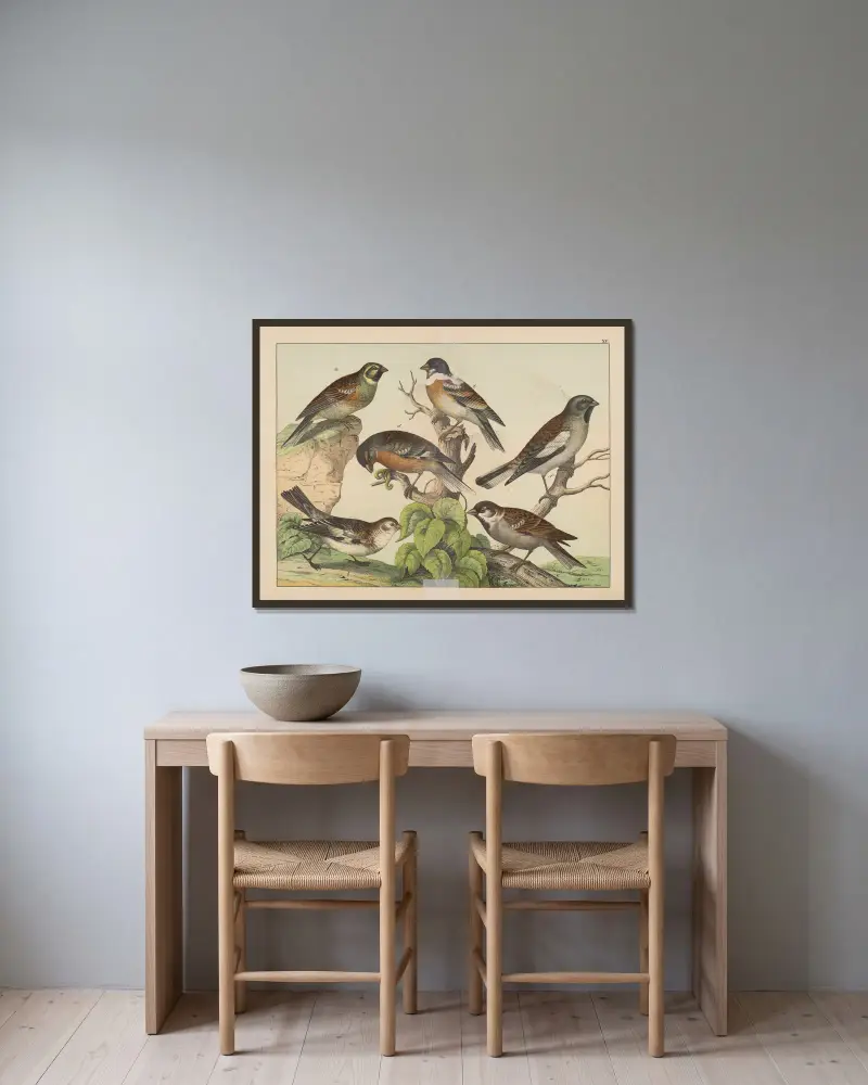 Historja naturalna ptakow (Natural history of birds) Pl.15 av Gotthilf Heinrich von Schubert inramad på en vägg