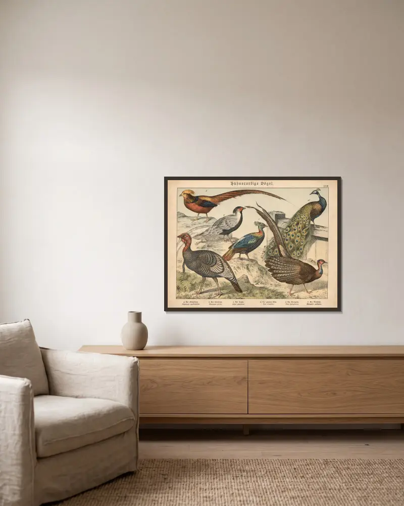 Hühnerartige Vögel. a) Der Silberfasan, b) Der Goldfasan, c) Der Argus, d) Der gemeine Pfau, e) Der Glanzpfau, f) Der Truthahn av Gotthilf Heinrich von Schubert inramad på en vägg