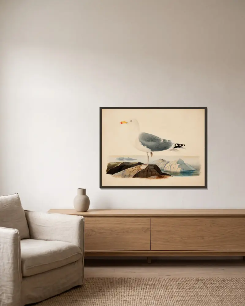 Europäische Silbermöwe von Ferdinand von Wright gerahmt an einer Wand