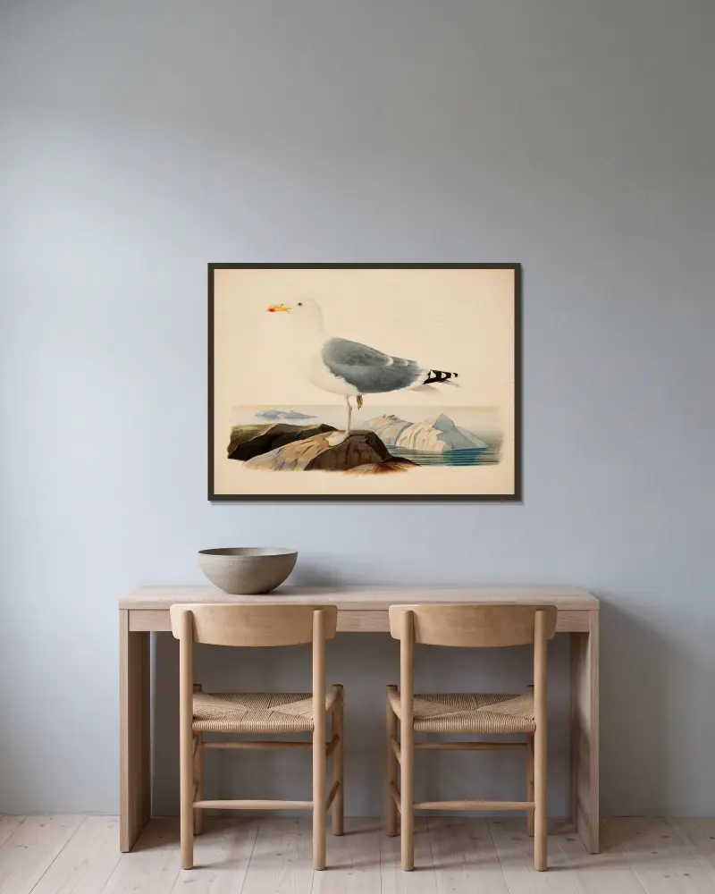 Europäische Silbermöwe von Ferdinand von Wright gerahmt an einer Wand