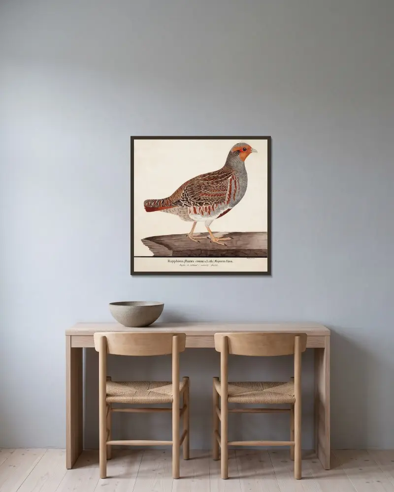 Grey Partridge av Magnus Von Wright inramad på en vägg