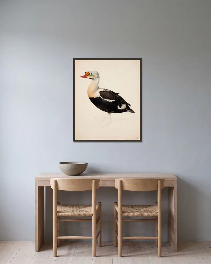King Eider ; Unfinished av Magnus Von Wright inramad på en vägg