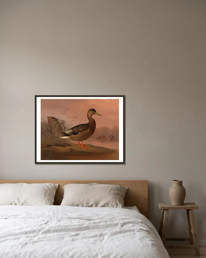 Mallard av Ferdinand von Wright inramad på en vägg
