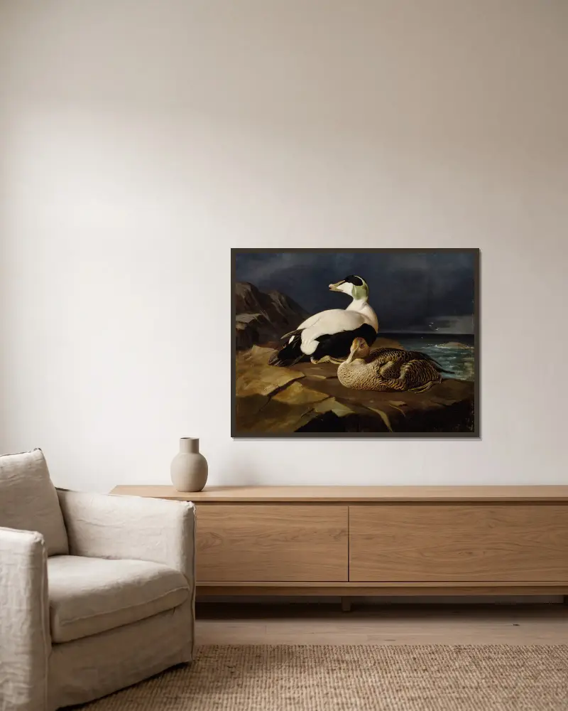 Zwei Eiderenten auf einem Felsen von Ferdinand von Wright gerahmt an einer Wand