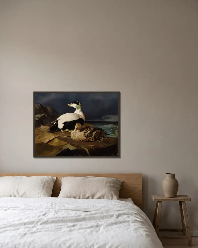 Zwei Eiderenten auf einem Felsen von Ferdinand von Wright gerahmt an einer Wand