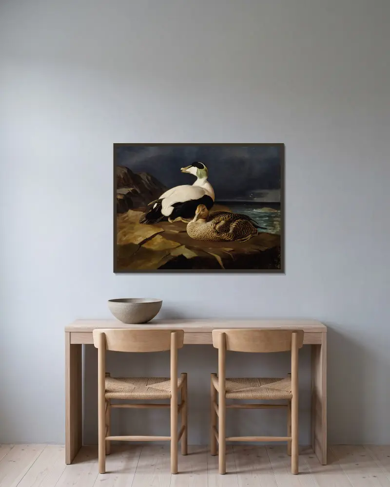Zwei Eiderenten auf einem Felsen von Ferdinand von Wright gerahmt an einer Wand