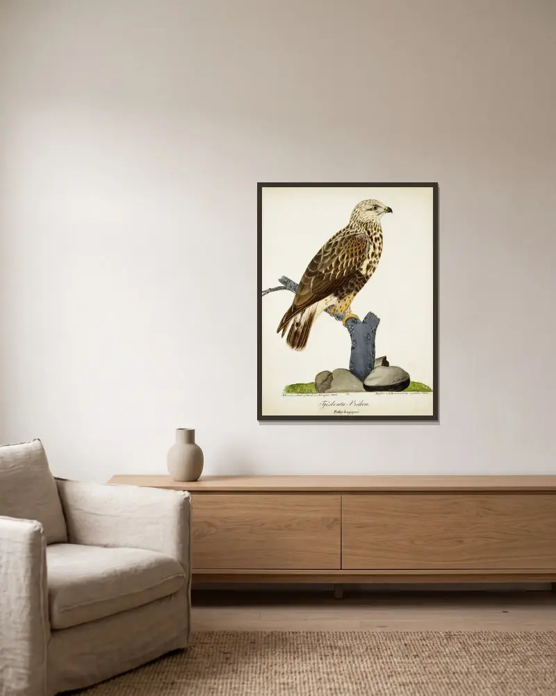 Raufußbussard von Ferdinand von Wright gerahmt an einer Wand