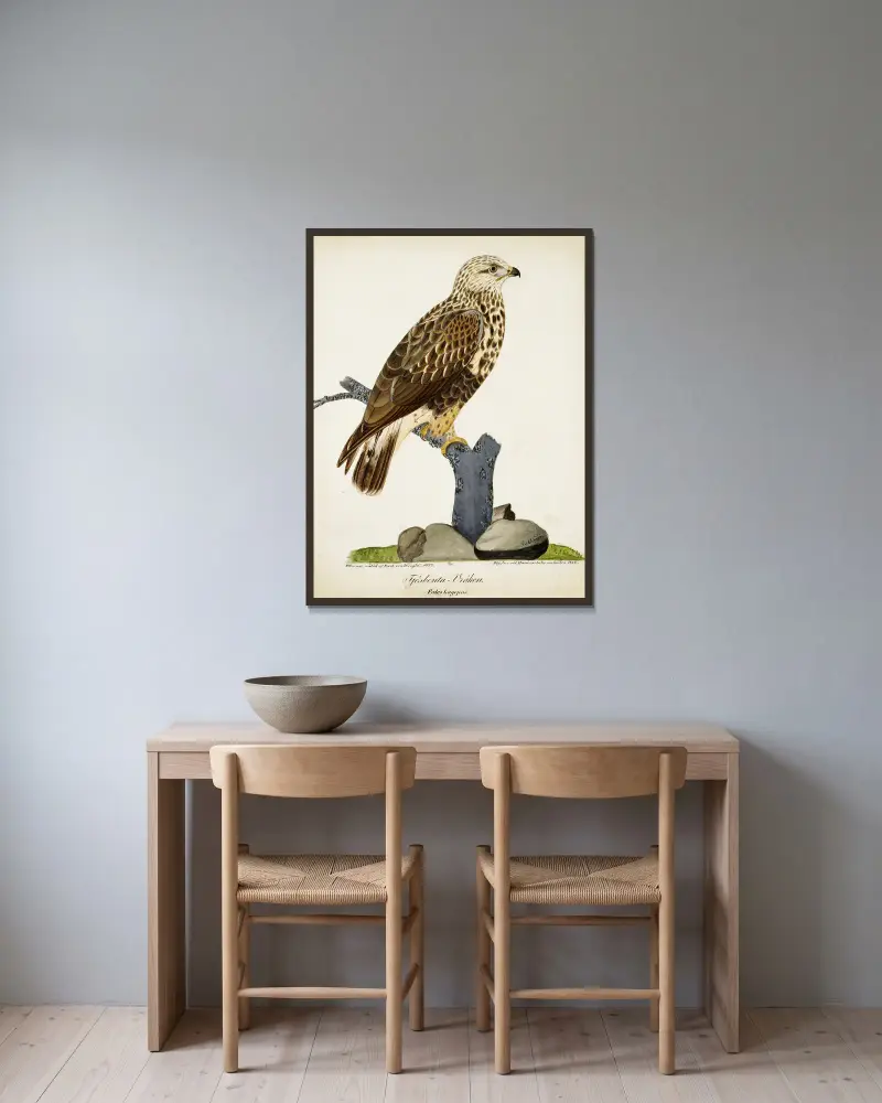 Raufußbussard von Ferdinand von Wright gerahmt an einer Wand