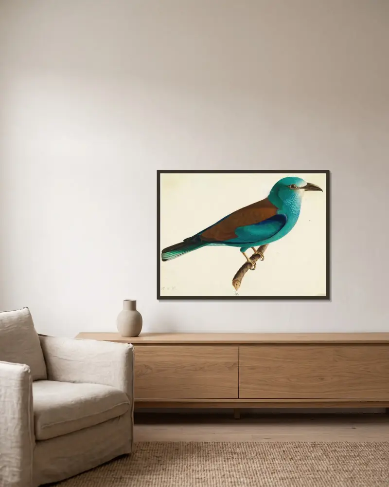 The European Roller av Wilhelm von Wright inramad på en vägg