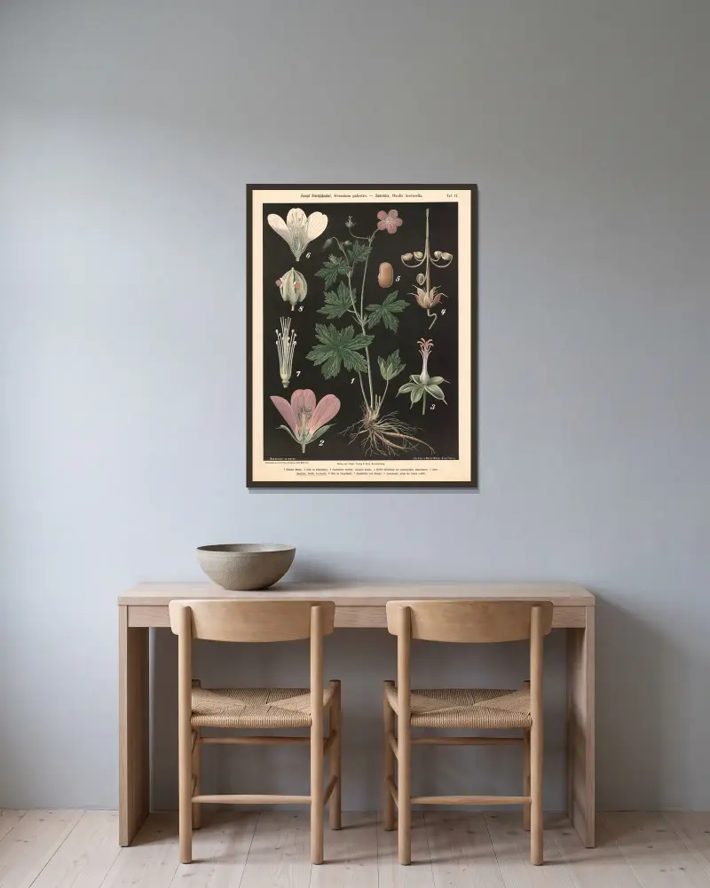 Sumpf-Storchschnabel, Geranium palustre. – Sauerklee, Oxalis Acetoselia av Walter Müller inramad på en vägg