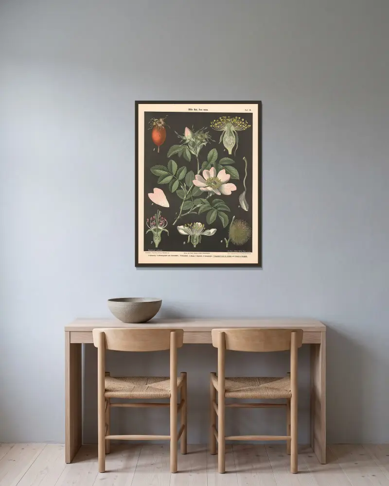 Wilde Rose, Rosa canina von Walter Müller gerahmt an einer Wand
