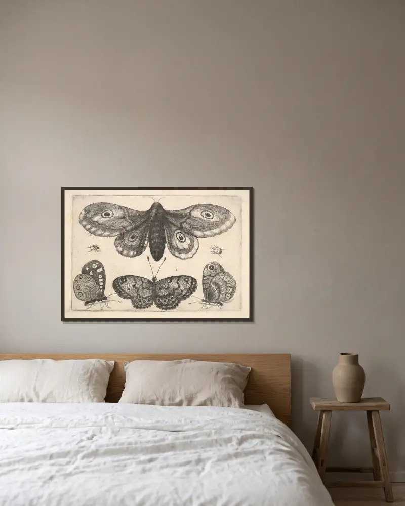Eine Motte, drei Schmetterlinge und zwei Käfer von Wenceslaus Hollar gerahmt an einer Wand