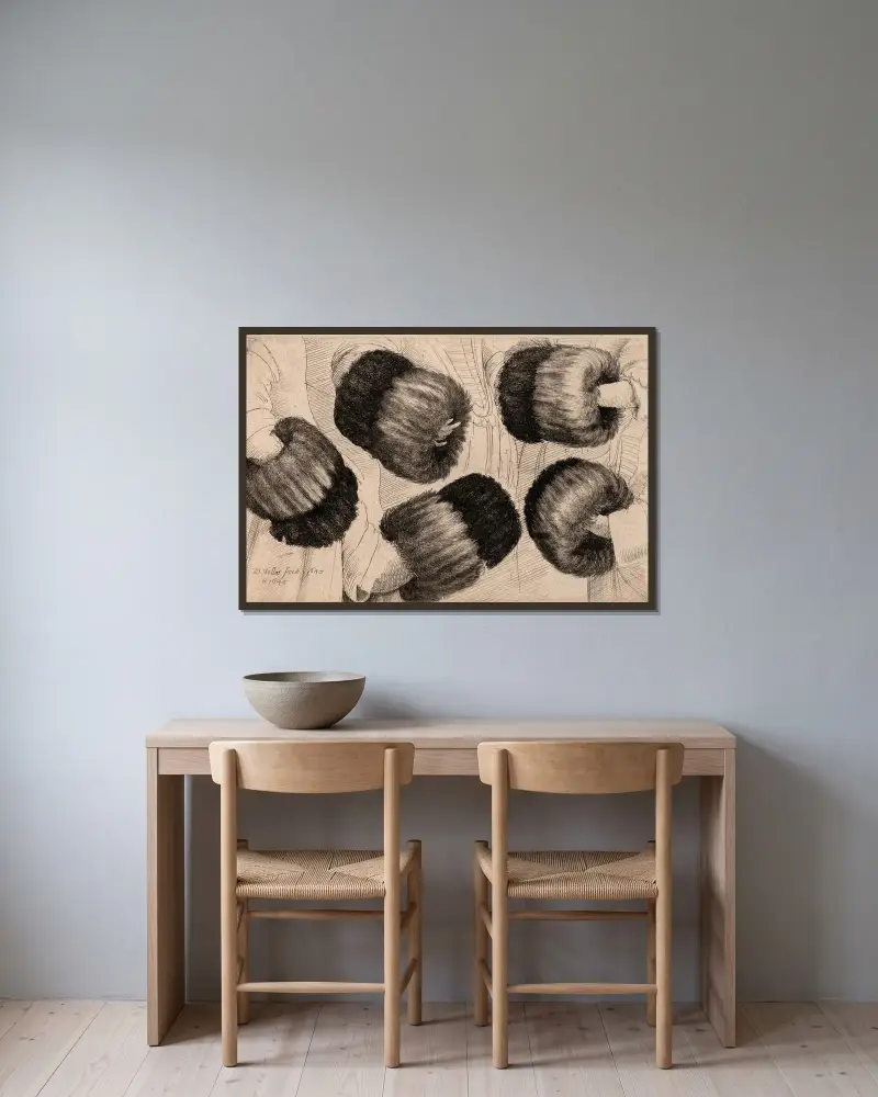 Ein Muff in fünf Ansichten von Wenceslaus Hollar gerahmt an einer Wand